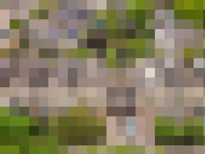 Hoornsgulden 8 Dronten thumbnail 56