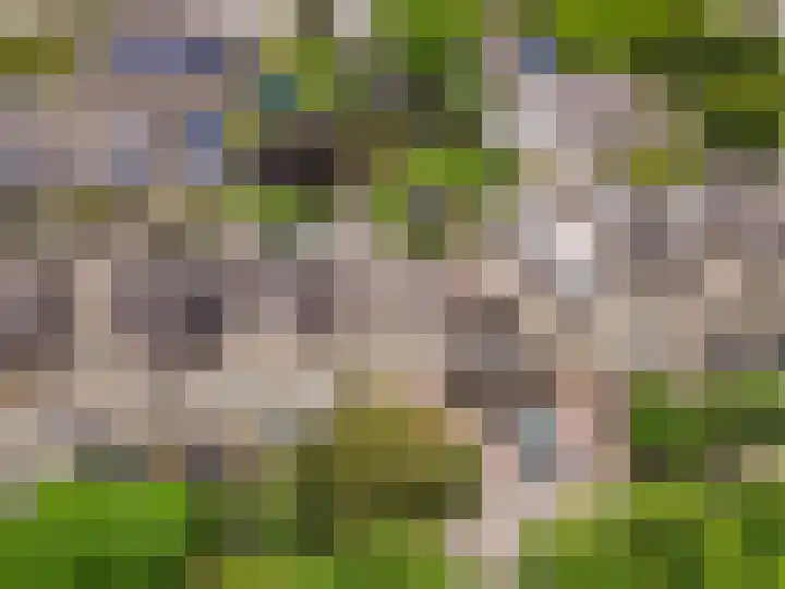 Hoornsgulden 8 Dronten thumbnail 57