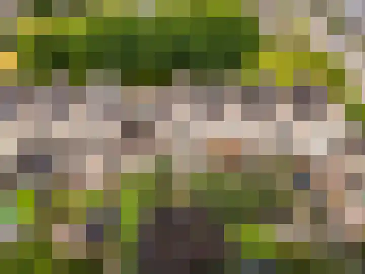 Hoornsgulden 8 Dronten thumbnail 58