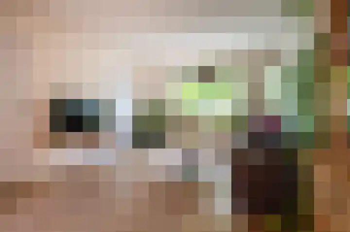 Hoornsgulden 8 Dronten thumbnail 8