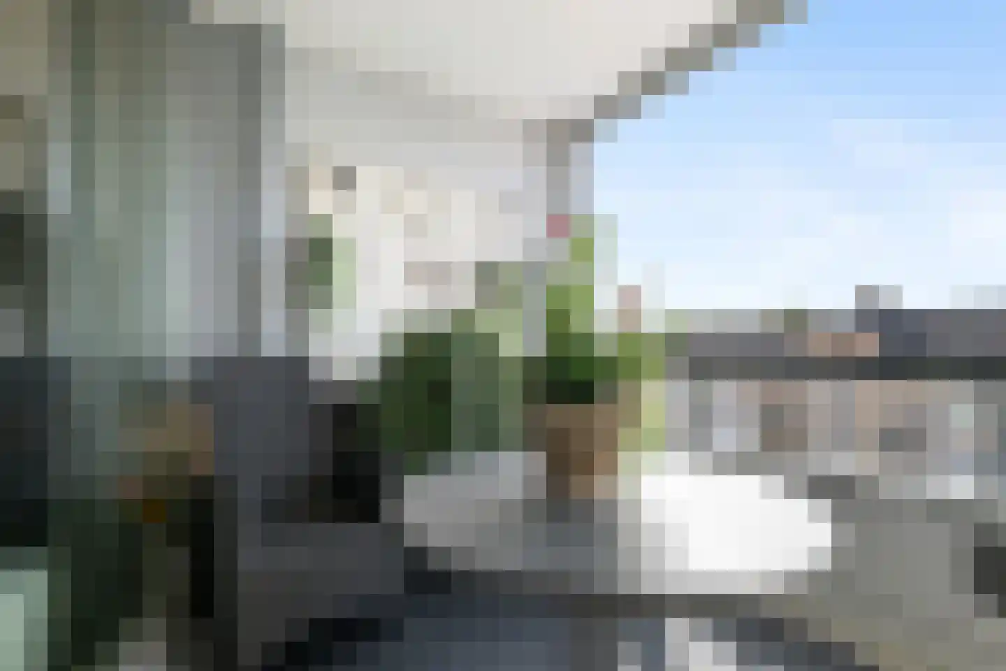 Hoornsingel 5 E Rotterdam thumbnail 16