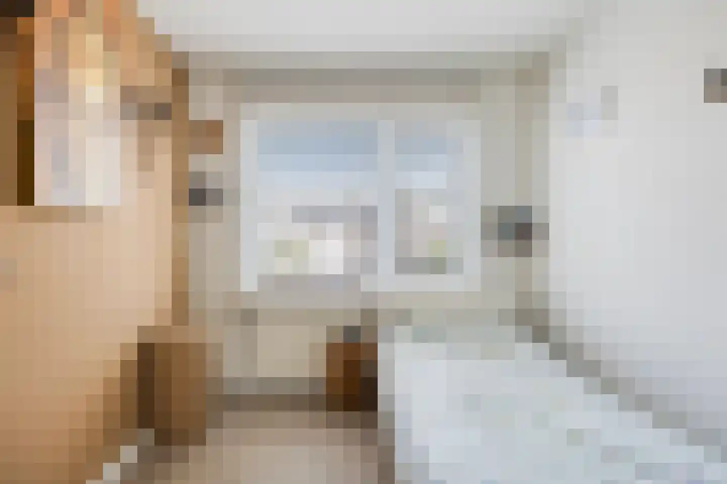 Hoornstraat 20 Uden thumbnail 13