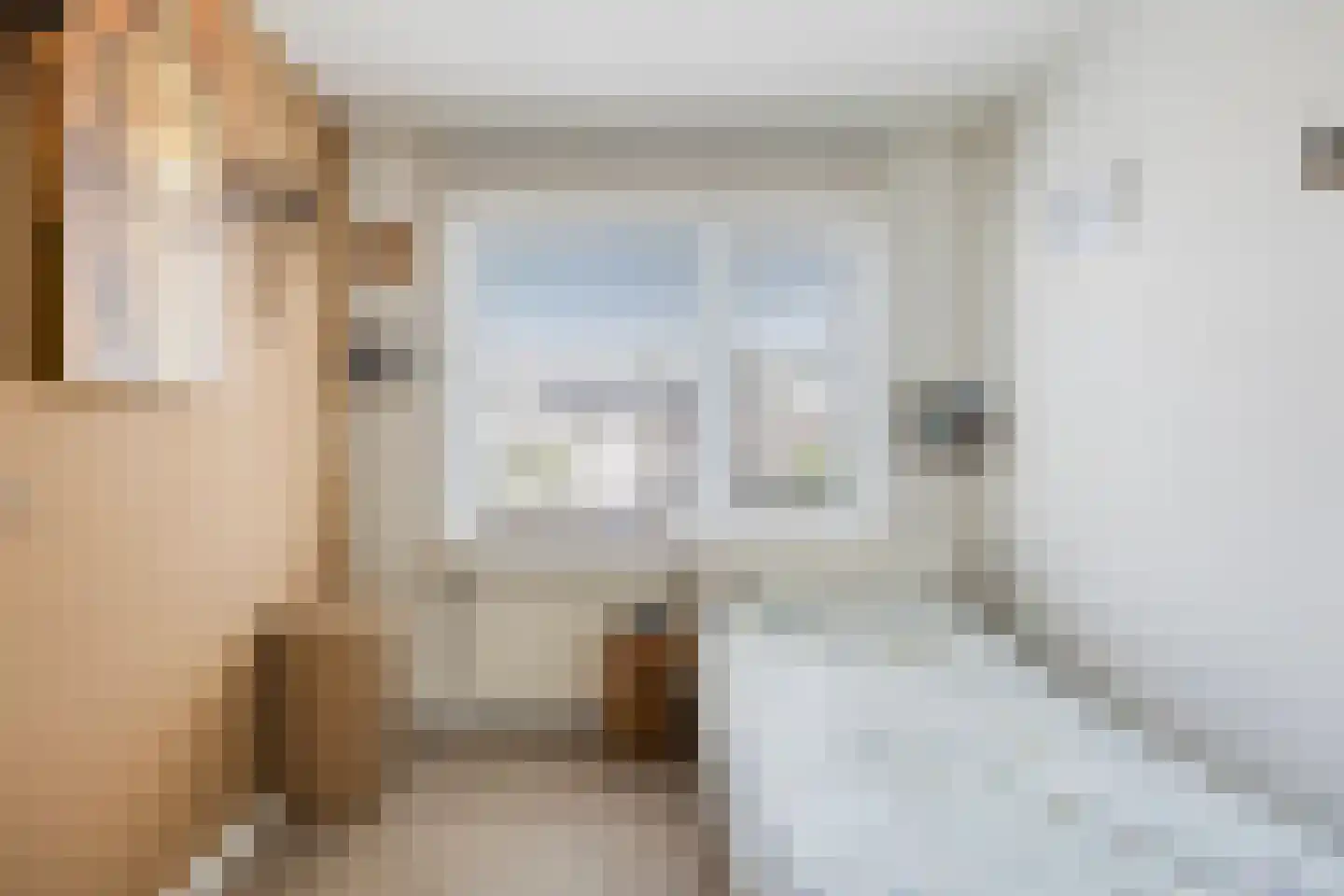 Hoornstraat 20 Uden thumbnail 14