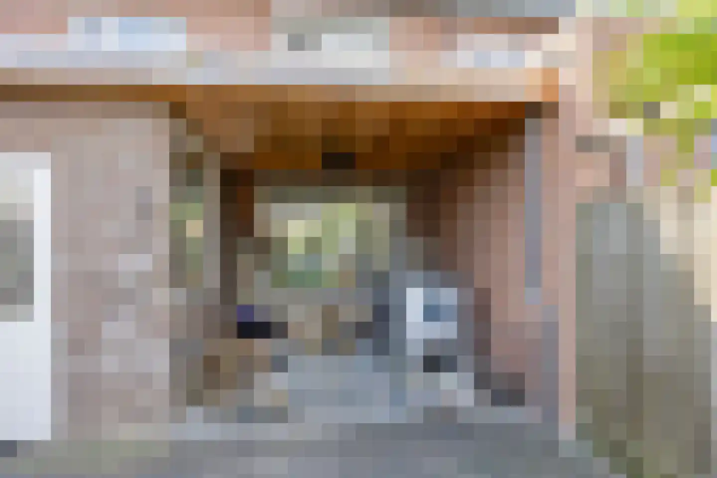 Hoornstraat 20 Uden thumbnail 22