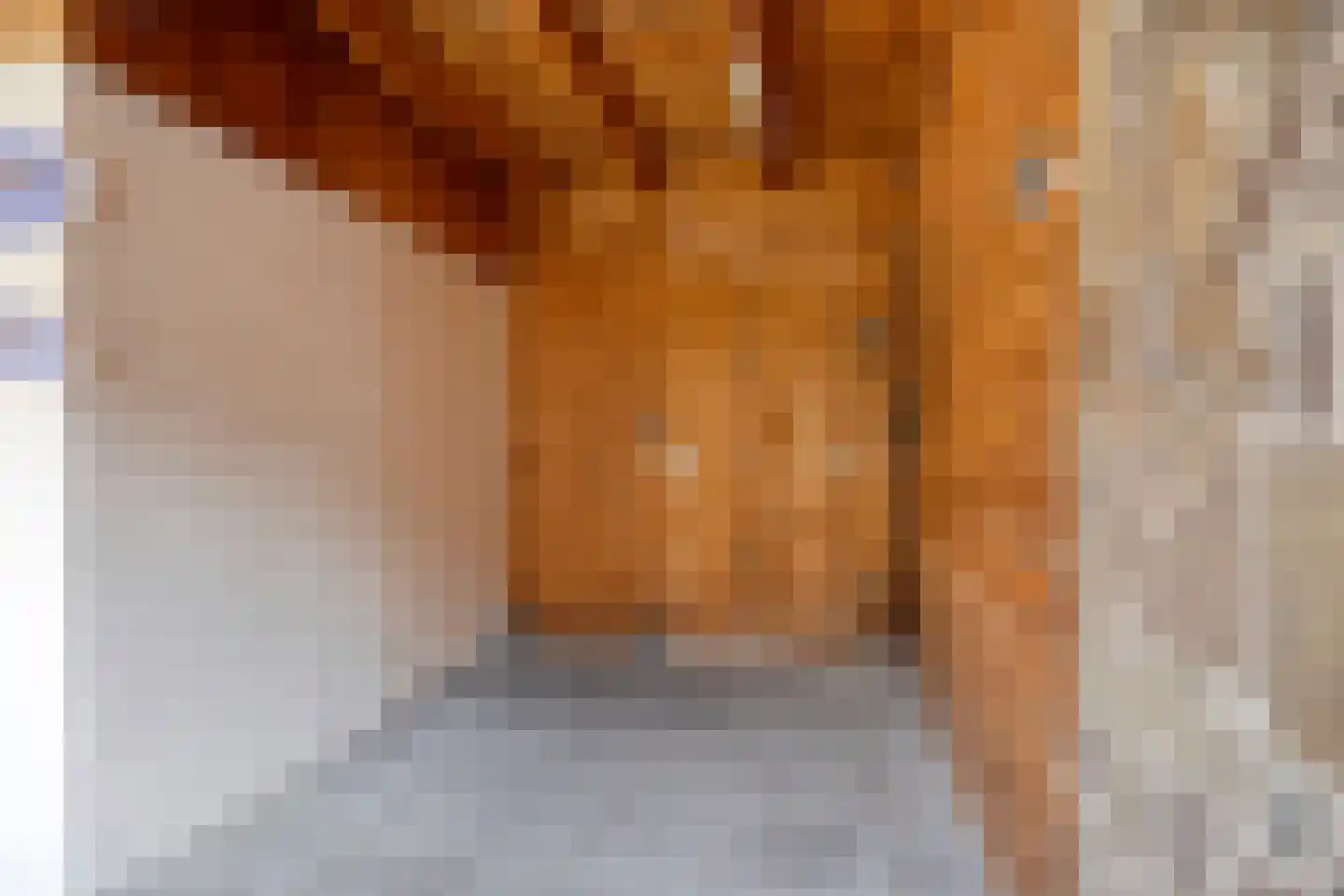 Hoornstraat 20 Uden thumbnail 24