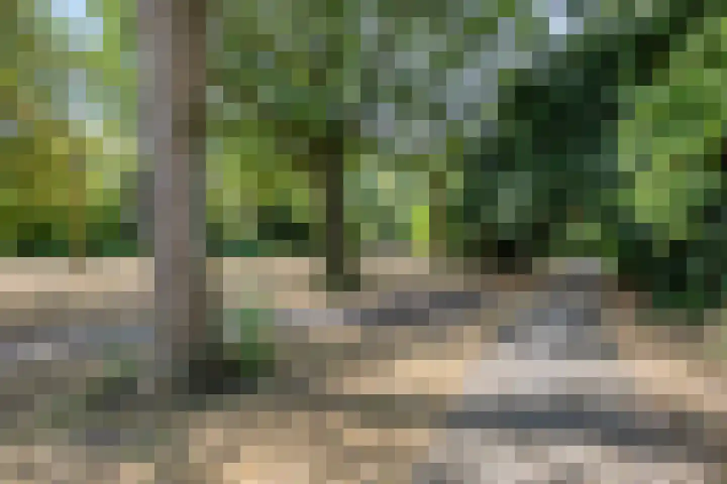 Hoornstraat 20 Uden thumbnail 30