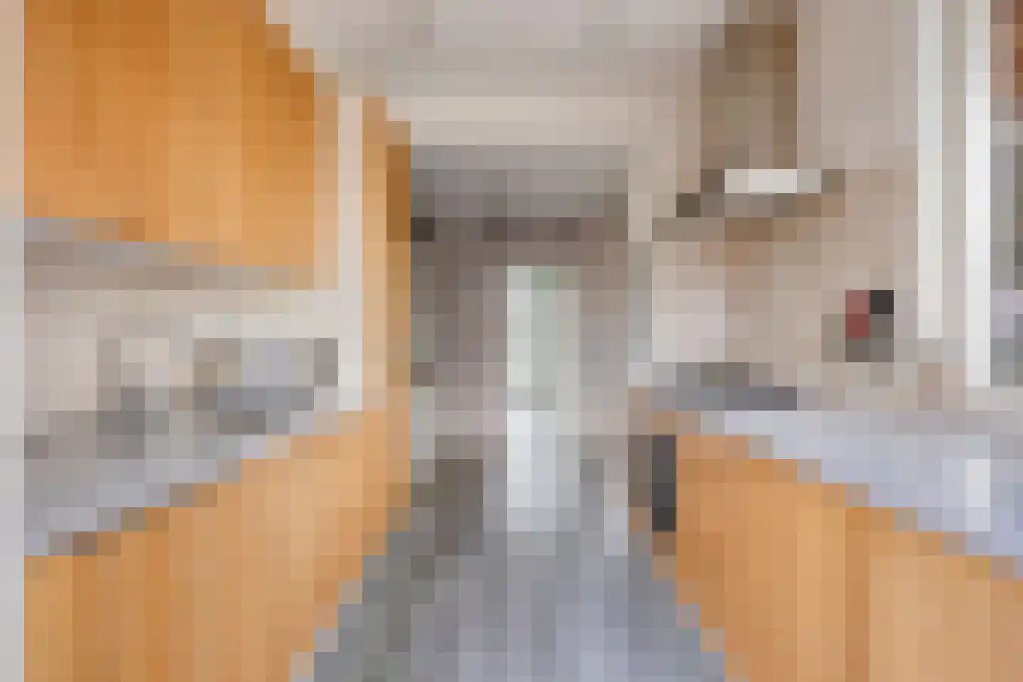 Hoornstraat 20 Uden thumbnail 8