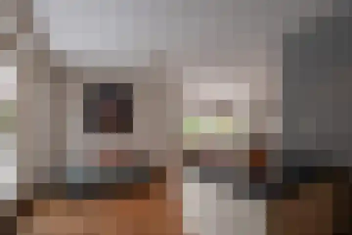 Hoornstraat 22 Gieten thumbnail 12