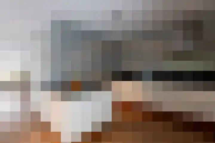 Hoornstraat 22 Gieten thumbnail 13