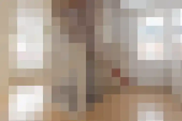 Hoornstraat 22 Gieten thumbnail 20