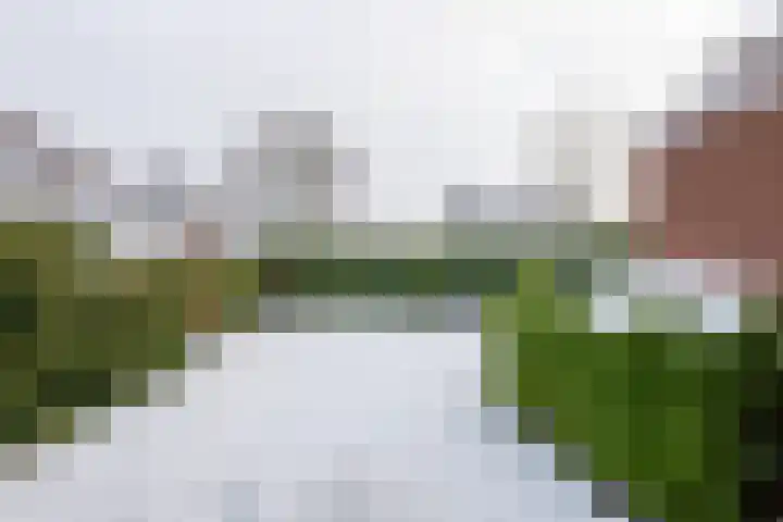 Hoornstraat 22 Gieten thumbnail 33