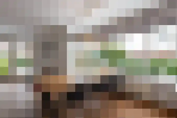 Hoornstraat 22 Gieten thumbnail 9