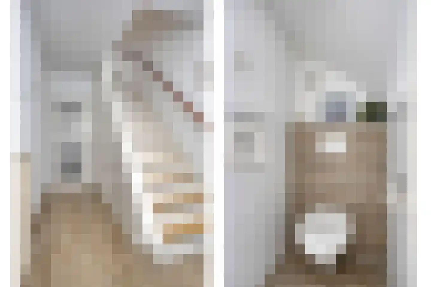 Hoornstraat 29 Uden thumbnail 10