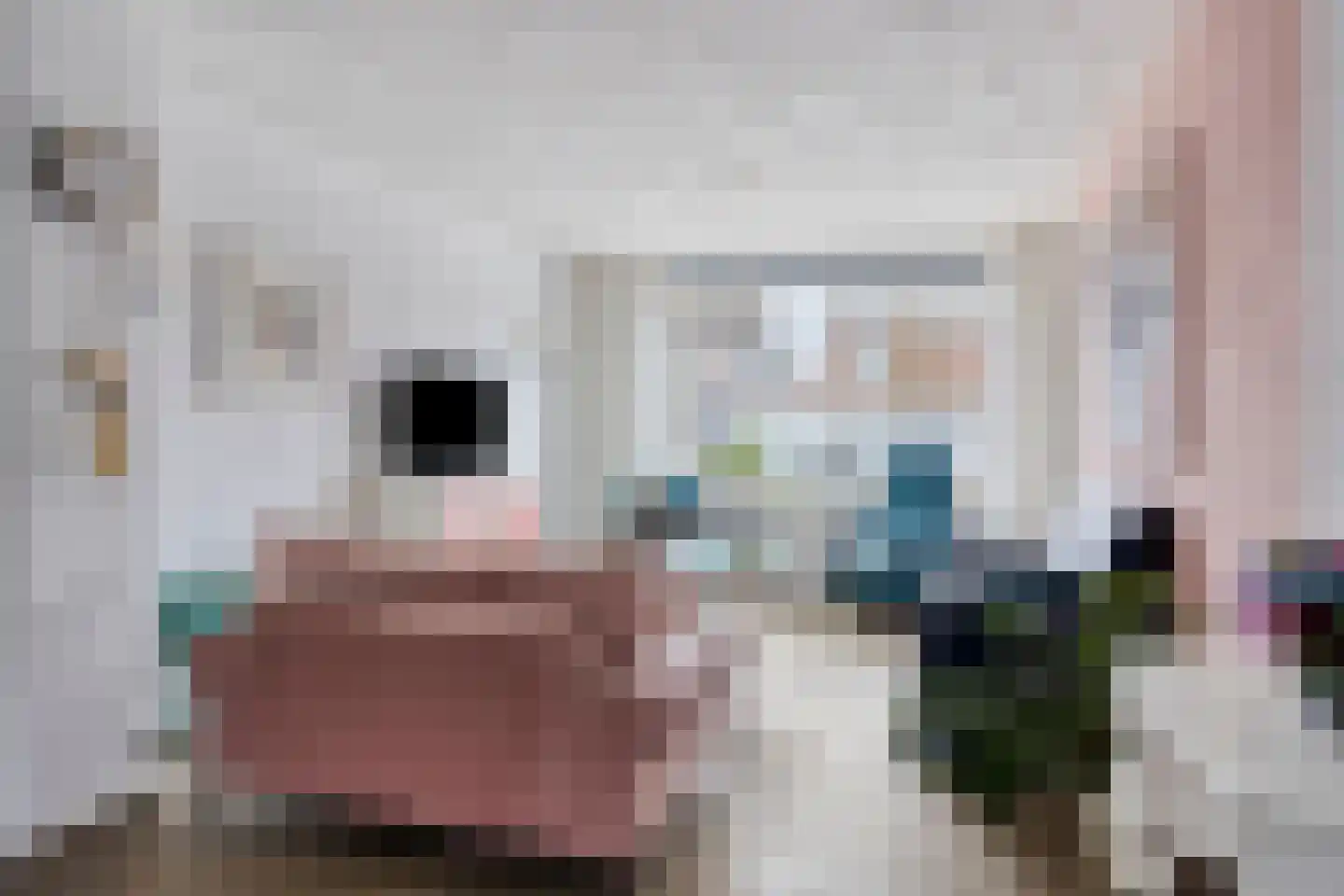 Hoornstraat 29 Uden thumbnail 4