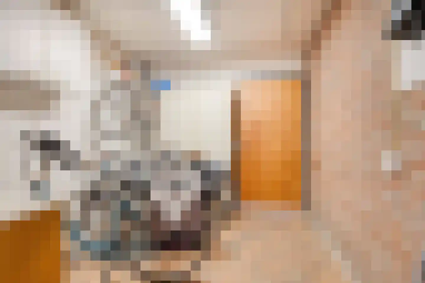 Hoornstraat 44 Uden thumbnail 14