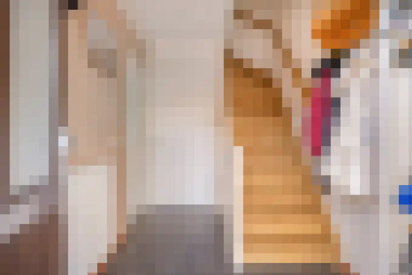 Hoornstraat 44 Uden thumbnail 16