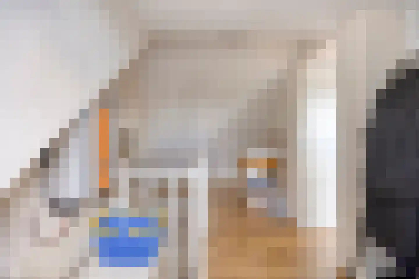 Hoornstraat 44 Uden thumbnail 27