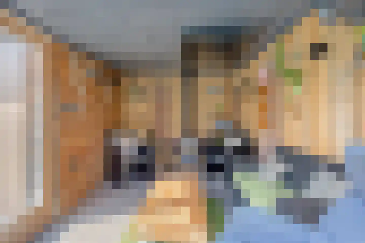 Hoornstraat 44 Uden thumbnail 38