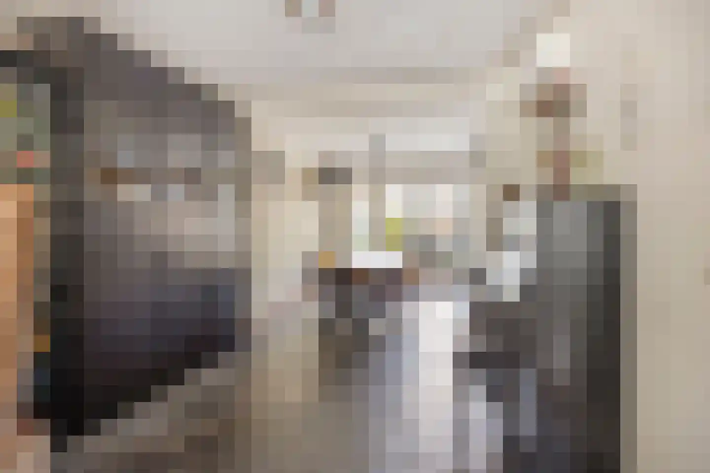 Hoornstraat 44 Uden thumbnail 5