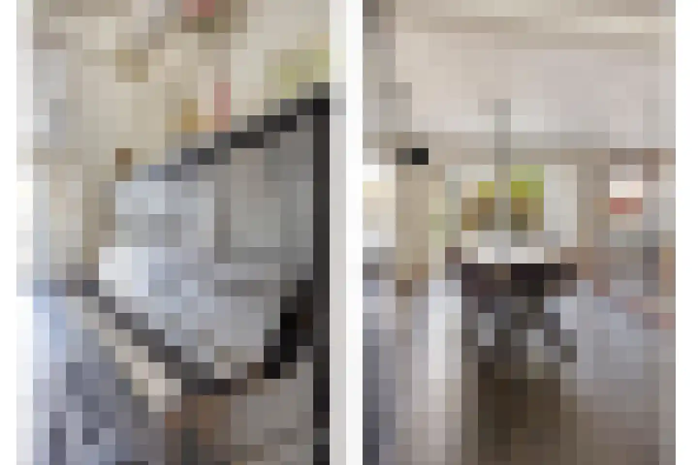 Hoornstraat 44 Uden thumbnail 6