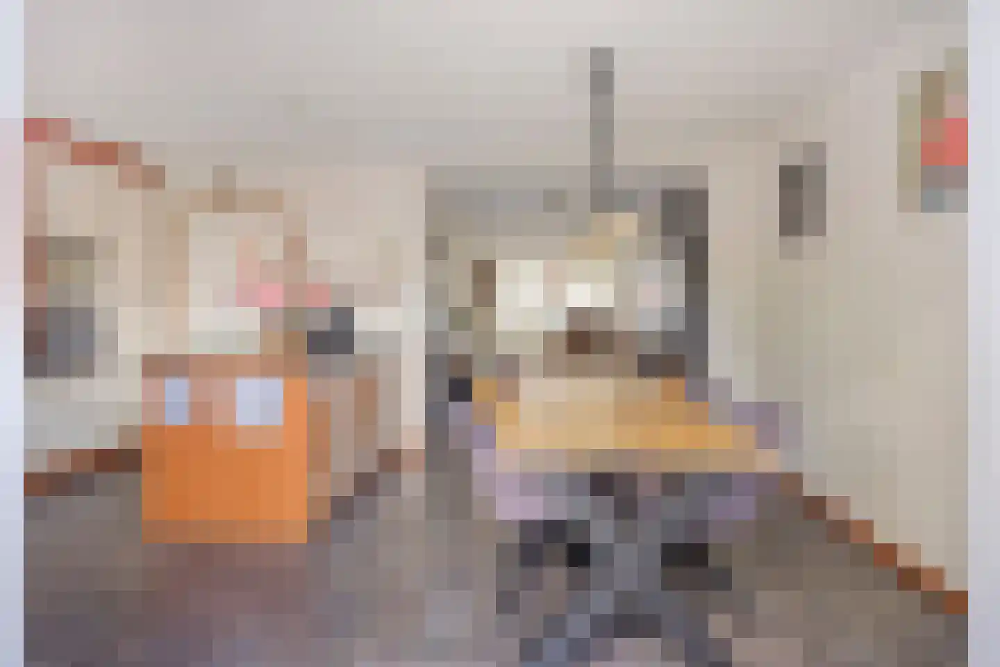 Hoornstraat 44 Uden thumbnail 7