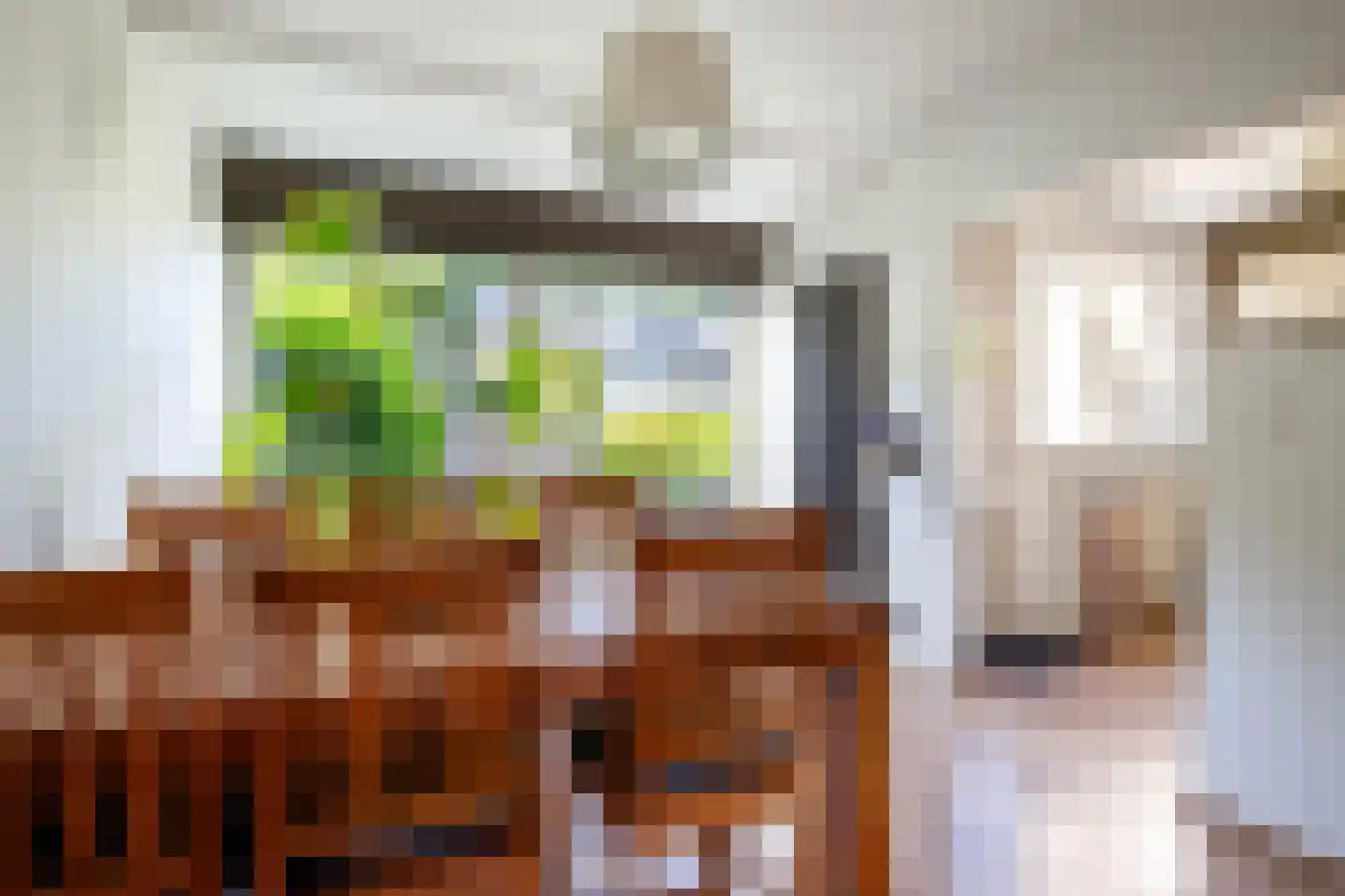 Hoorntandmos 8 Rotterdam thumbnail 10