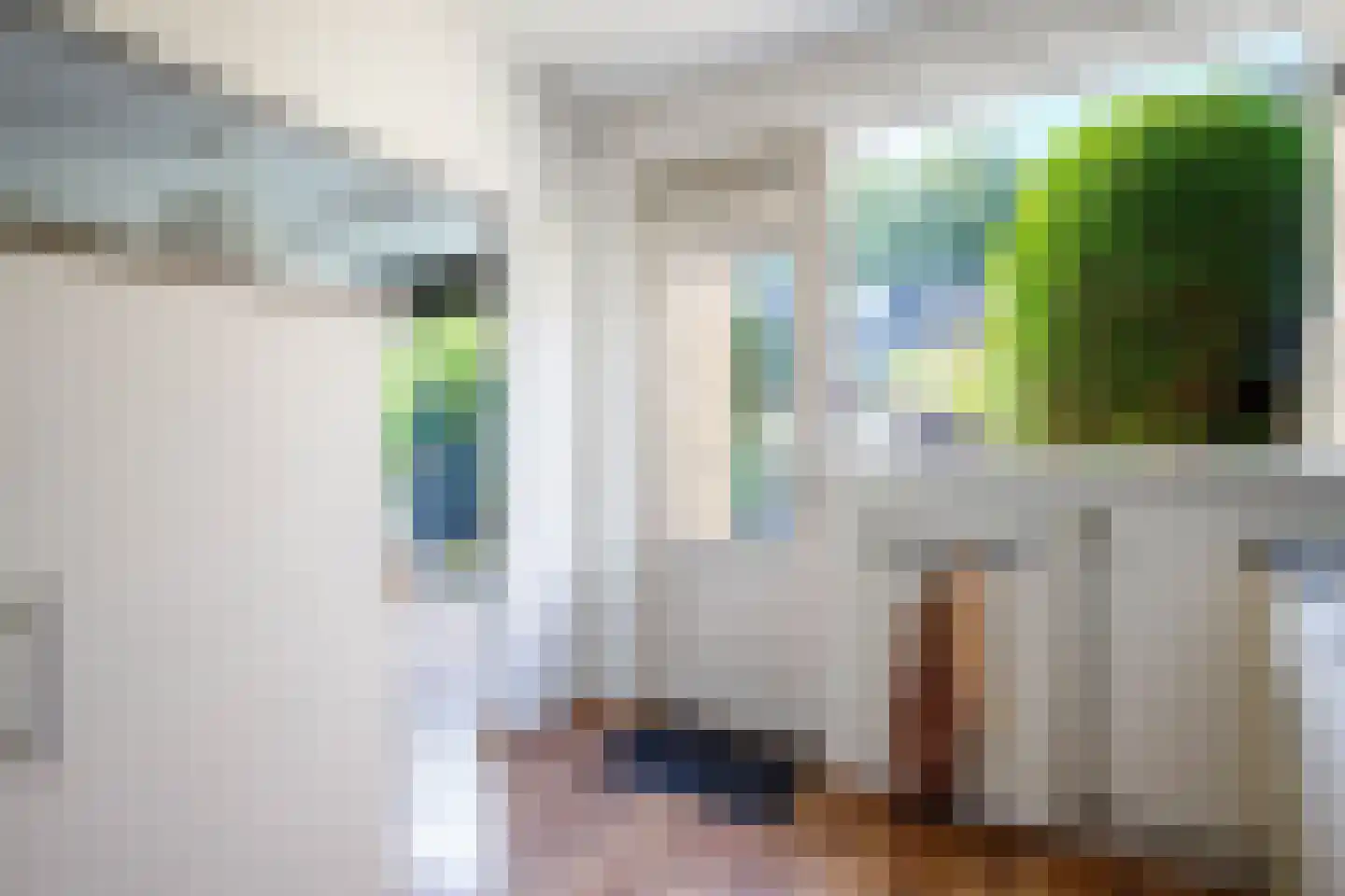 Hoorntandmos 8 Rotterdam thumbnail 16