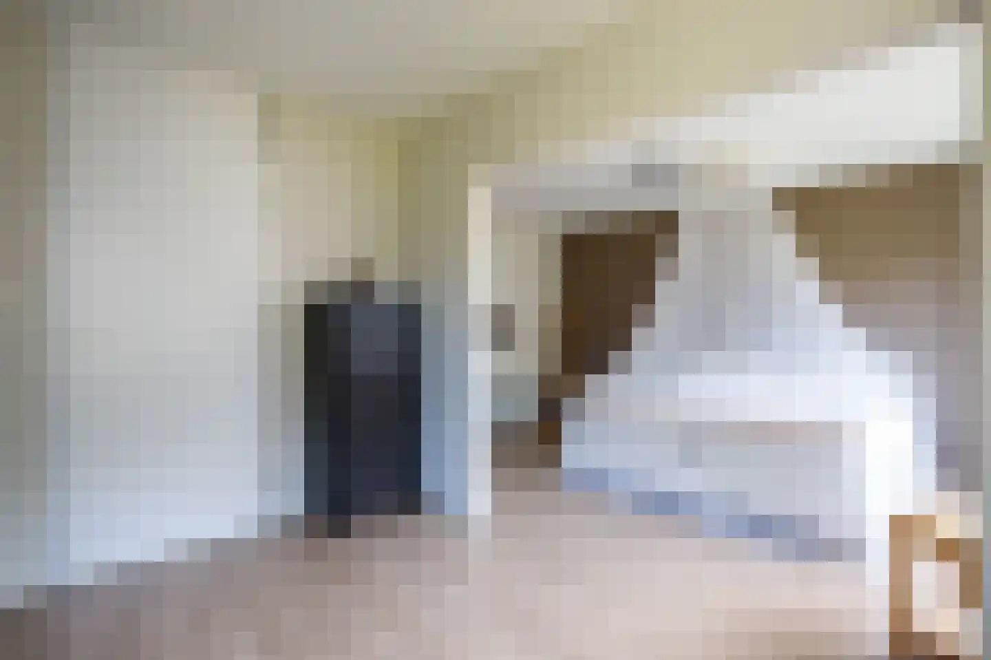 Hoorntandmos 8 Rotterdam thumbnail 19