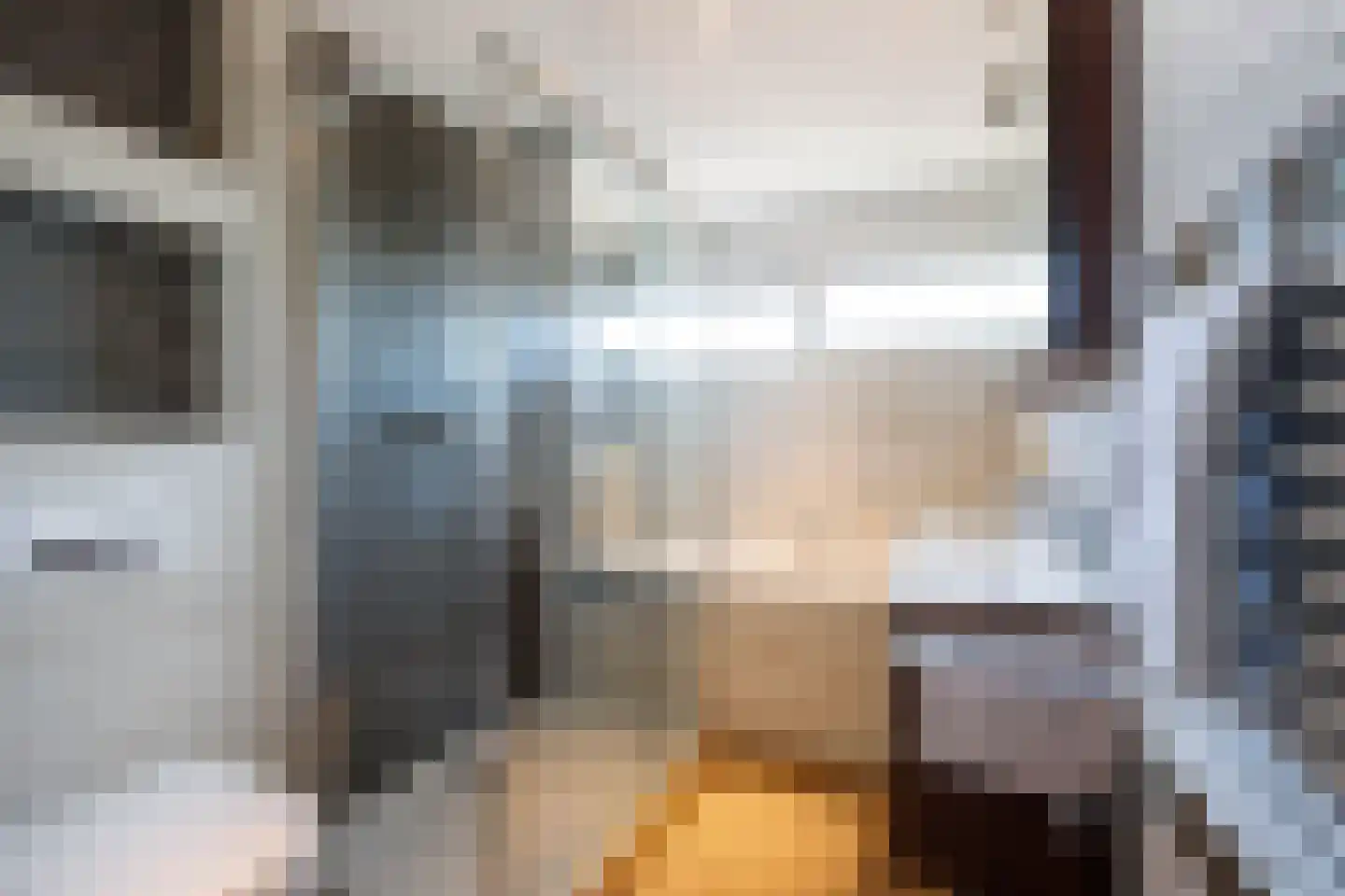 Hoorntandmos 8 Rotterdam thumbnail 24