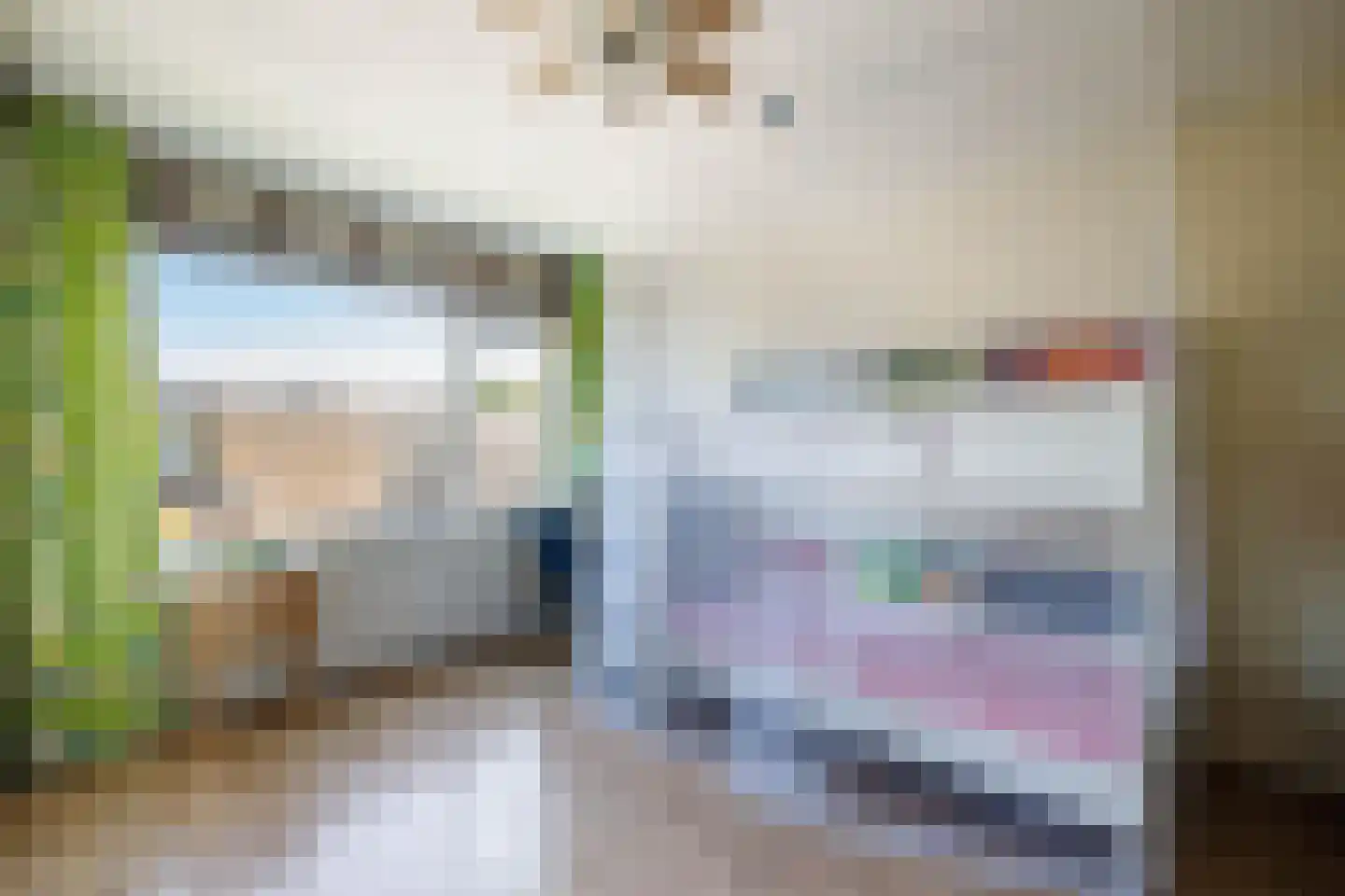Hoorntandmos 8 Rotterdam thumbnail 26