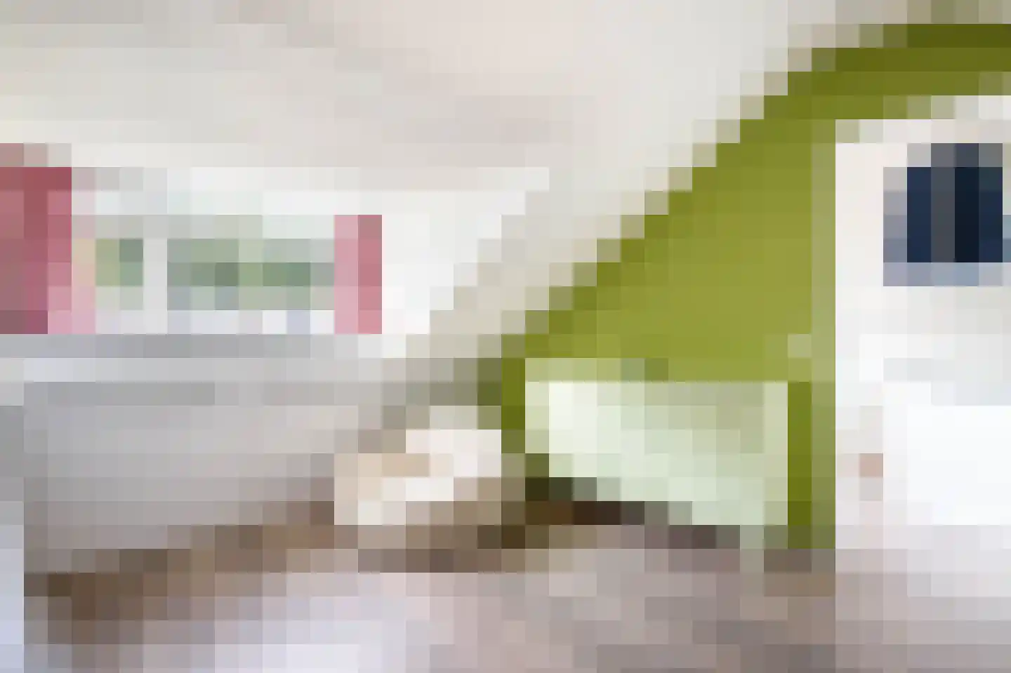 Hoorntandmos 8 Rotterdam thumbnail 31