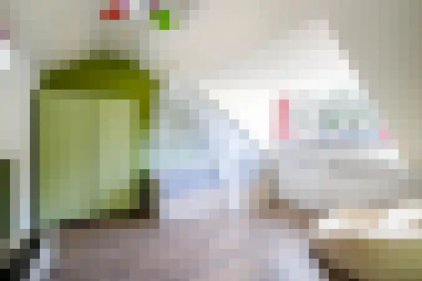 Hoorntandmos 8 Rotterdam thumbnail 32