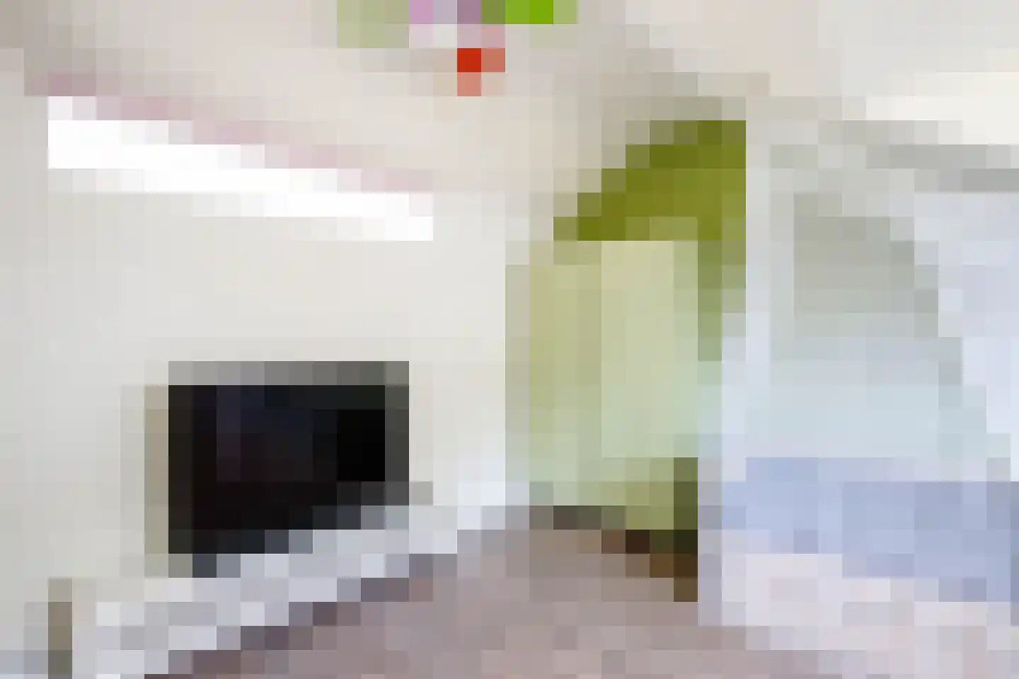 Hoorntandmos 8 Rotterdam thumbnail 33