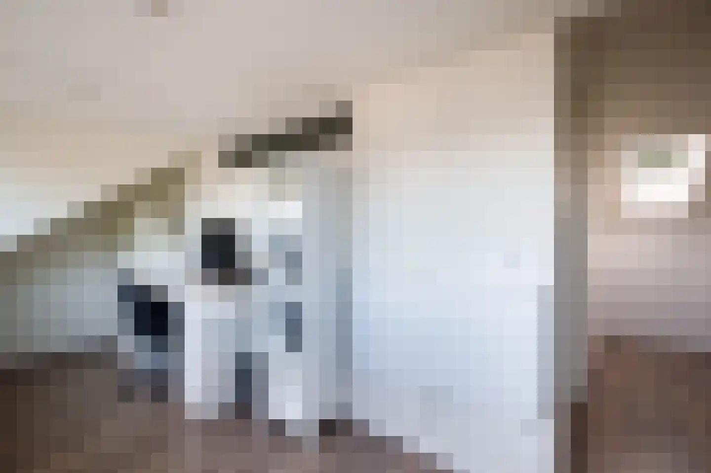 Hoorntandmos 8 Rotterdam thumbnail 35
