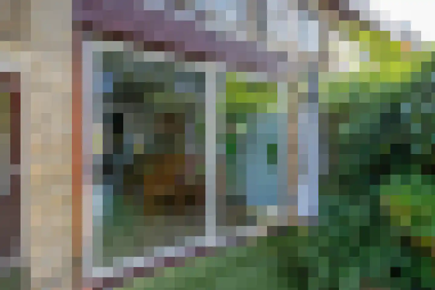 Hoorntandmos 8 Rotterdam thumbnail 37