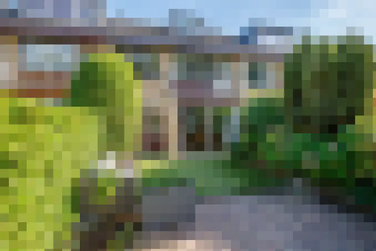 Hoorntandmos 8 Rotterdam thumbnail 38