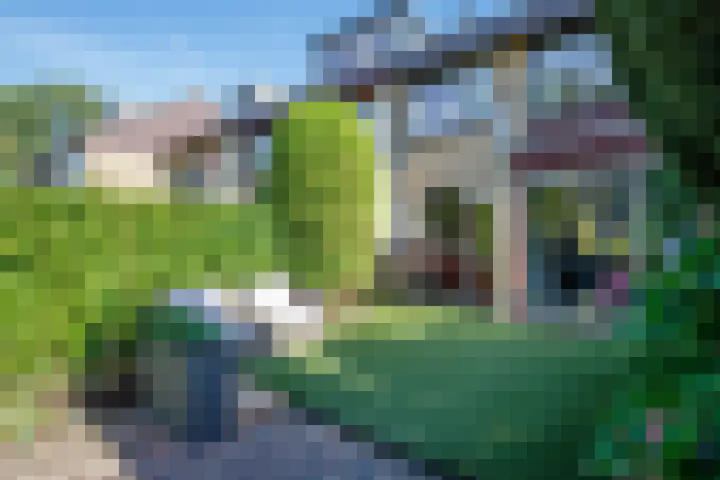 Hoorntandmos 8 Rotterdam thumbnail 39