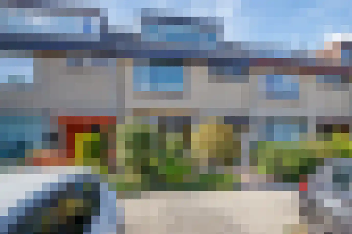 Hoorntandmos 8 Rotterdam thumbnail 4