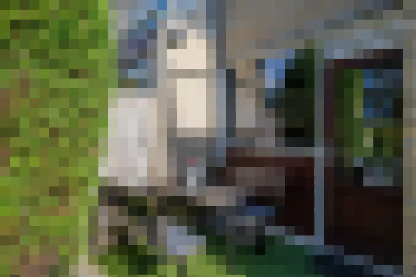 Hoorntandmos 8 Rotterdam thumbnail 42