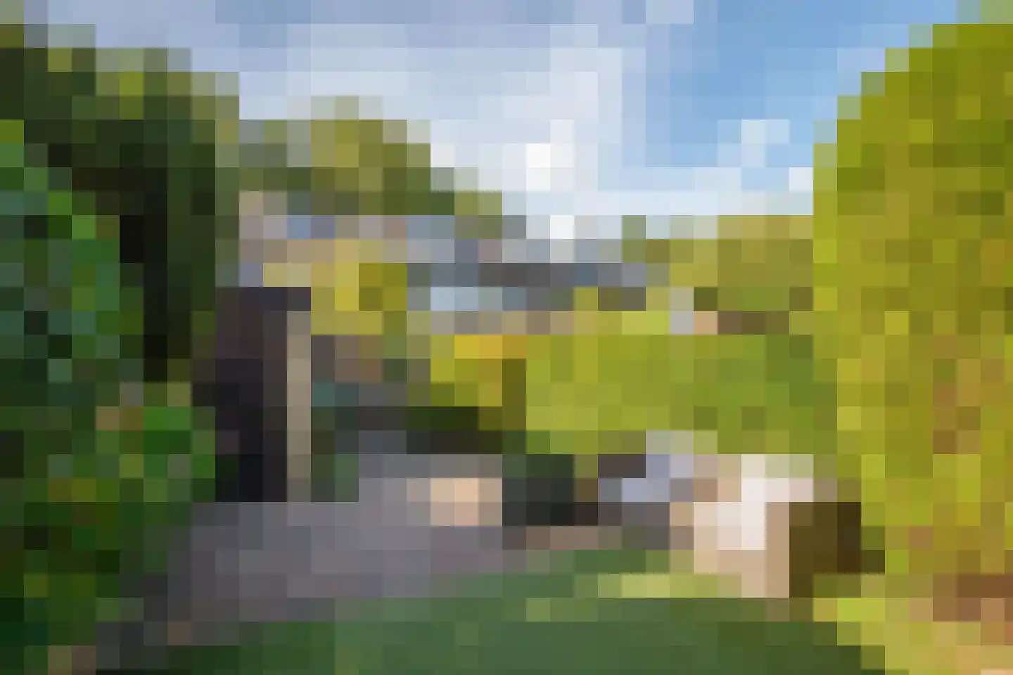 Hoorntandmos 8 Rotterdam thumbnail 44