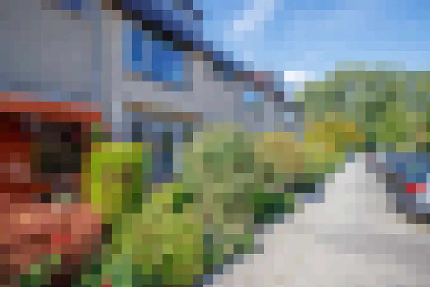 Hoorntandmos 8 Rotterdam thumbnail 45