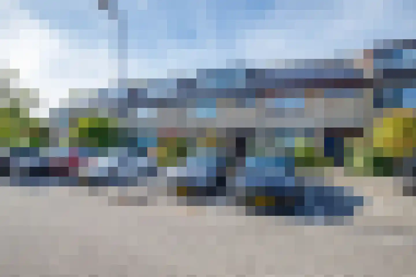 Hoorntandmos 8 Rotterdam thumbnail 47