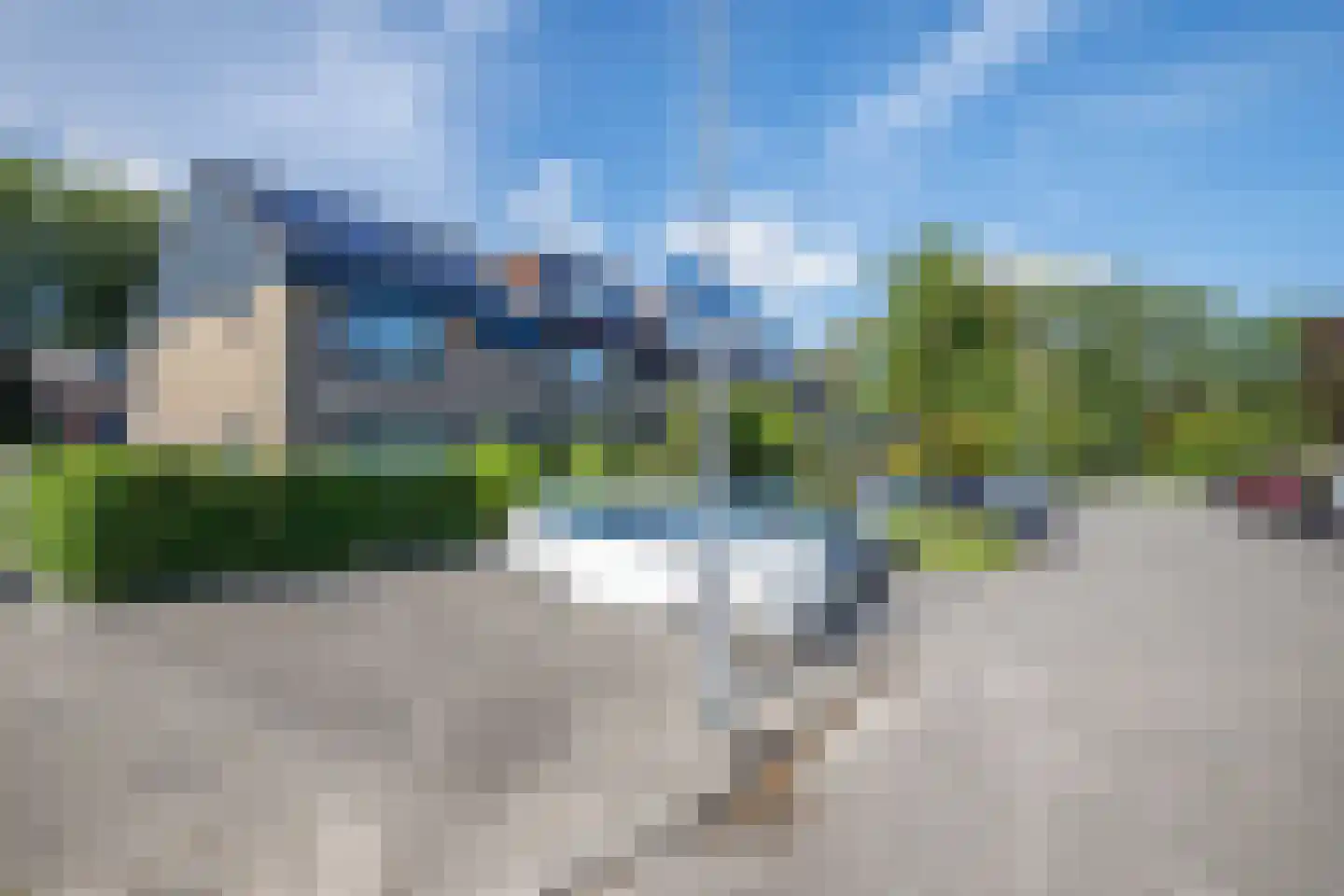 Hoorntandmos 8 Rotterdam thumbnail 50