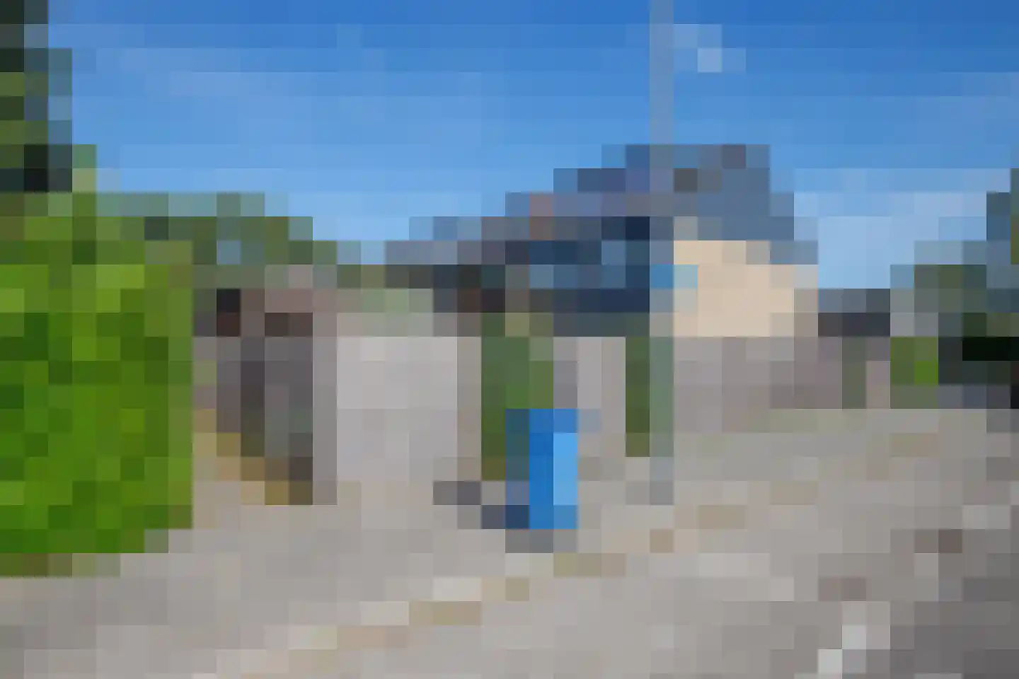 Hoorntandmos 8 Rotterdam thumbnail 51