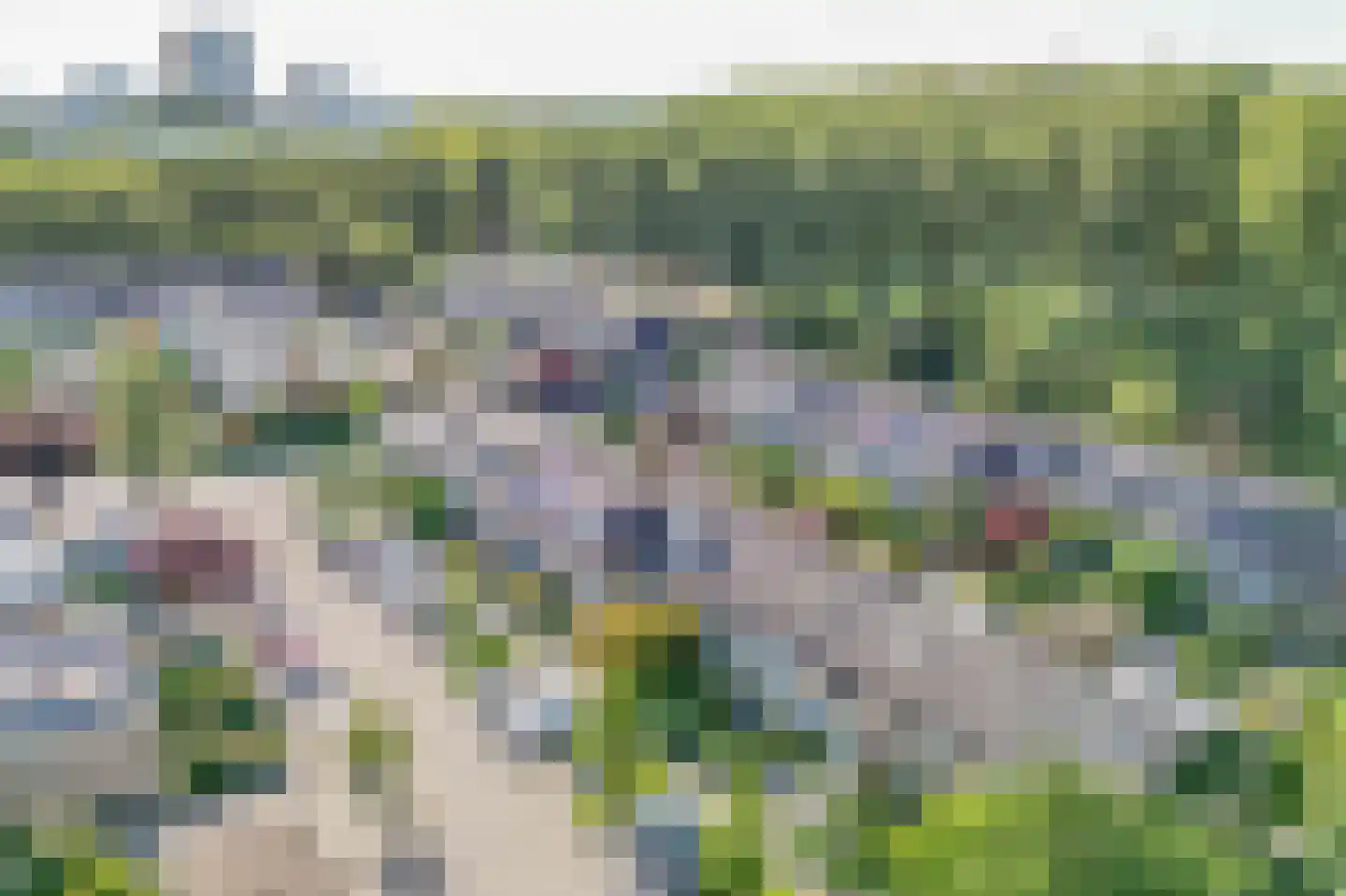Hoorntandmos 8 Rotterdam thumbnail 53