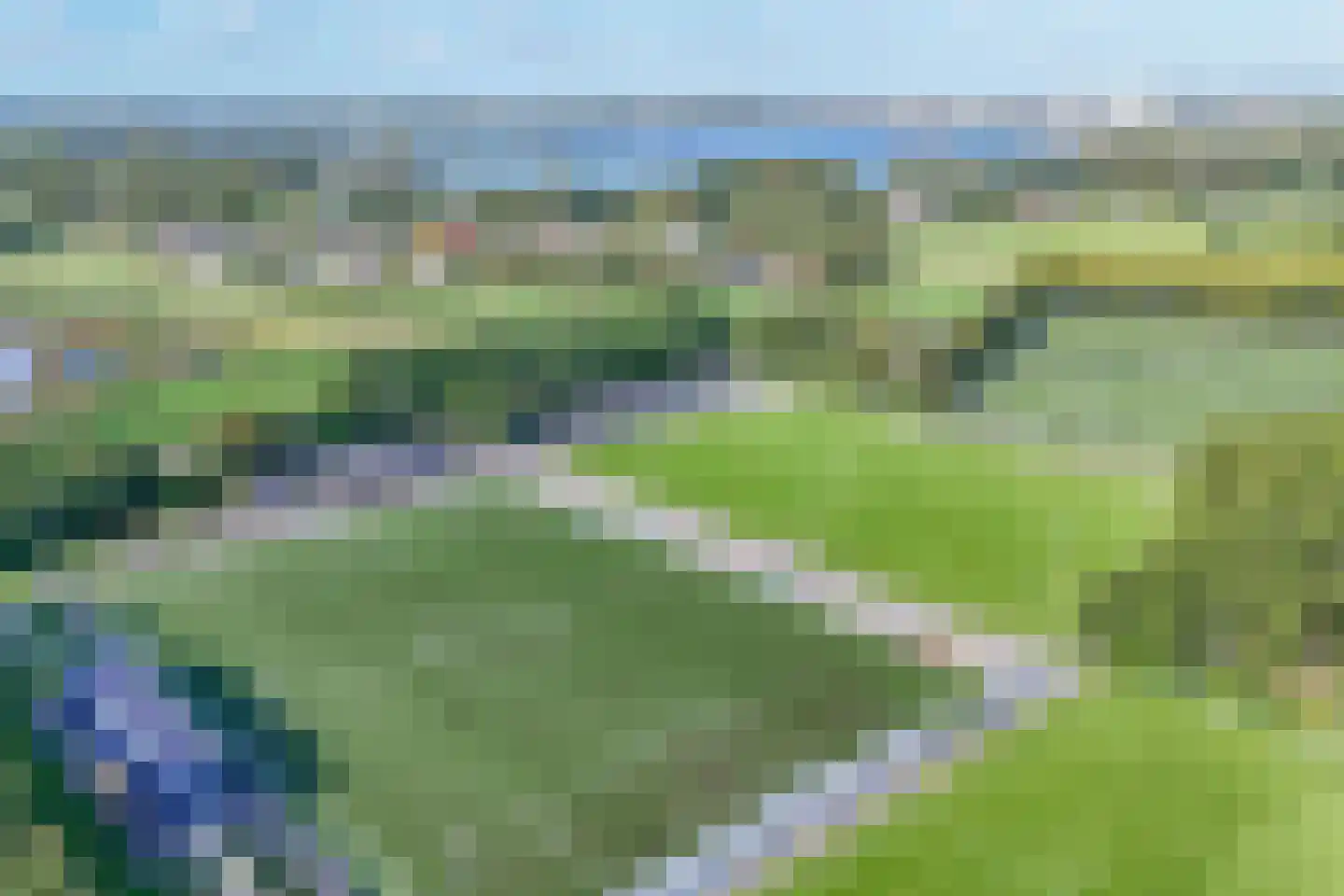 Hoorntandmos 8 Rotterdam thumbnail 56