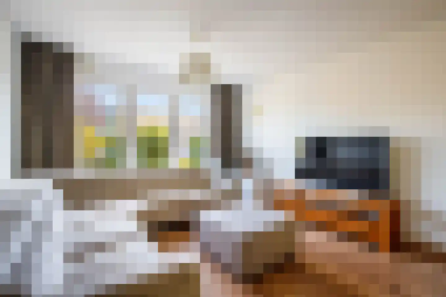 Hoorntandmos 8 Rotterdam thumbnail 8