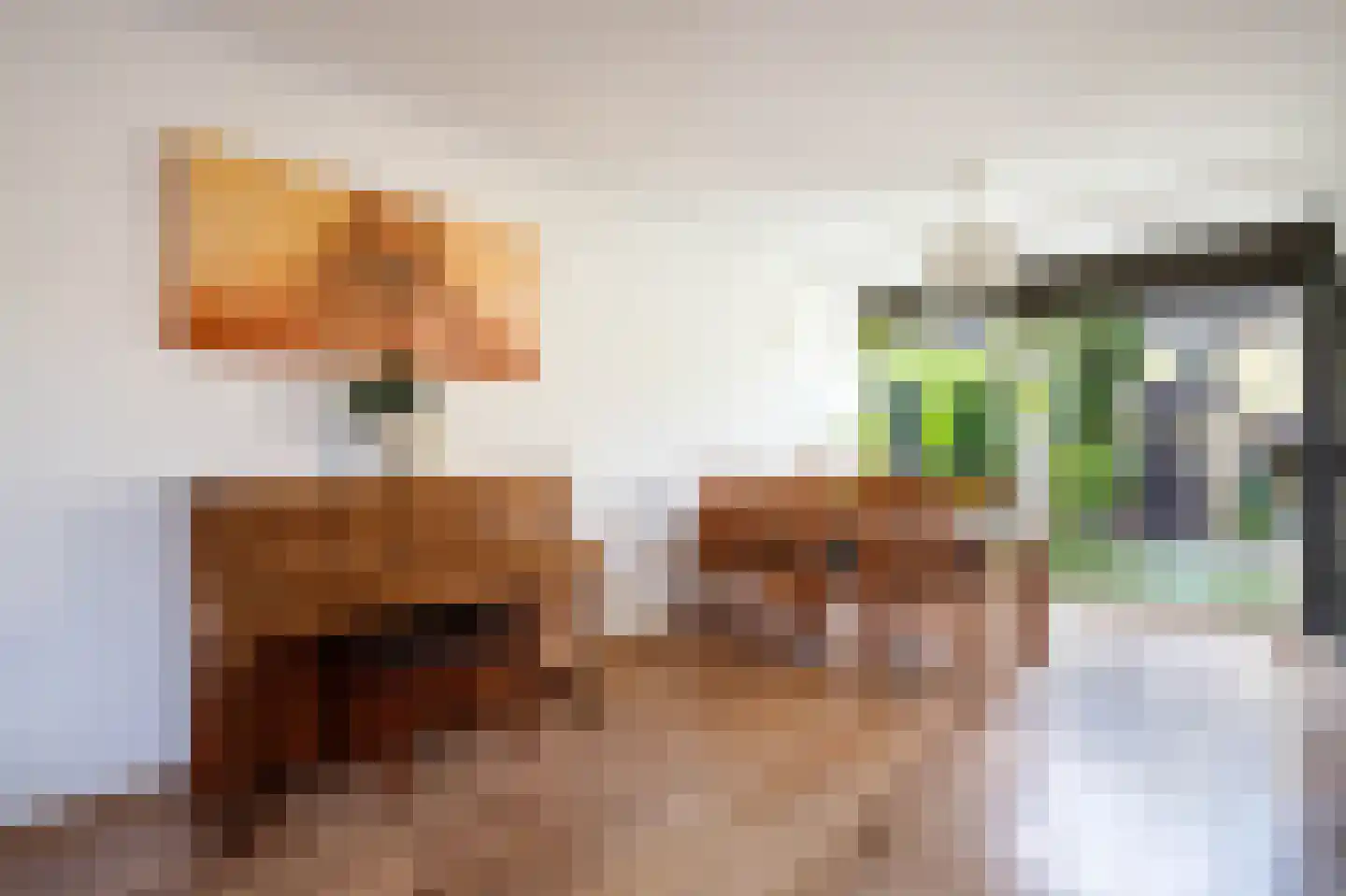 Hoorntandmos 8 Rotterdam thumbnail 9