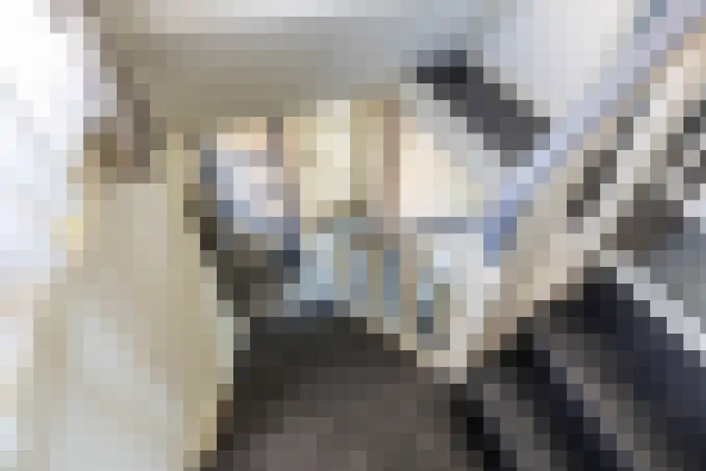 Hoornweg 21 Marum thumbnail 29
