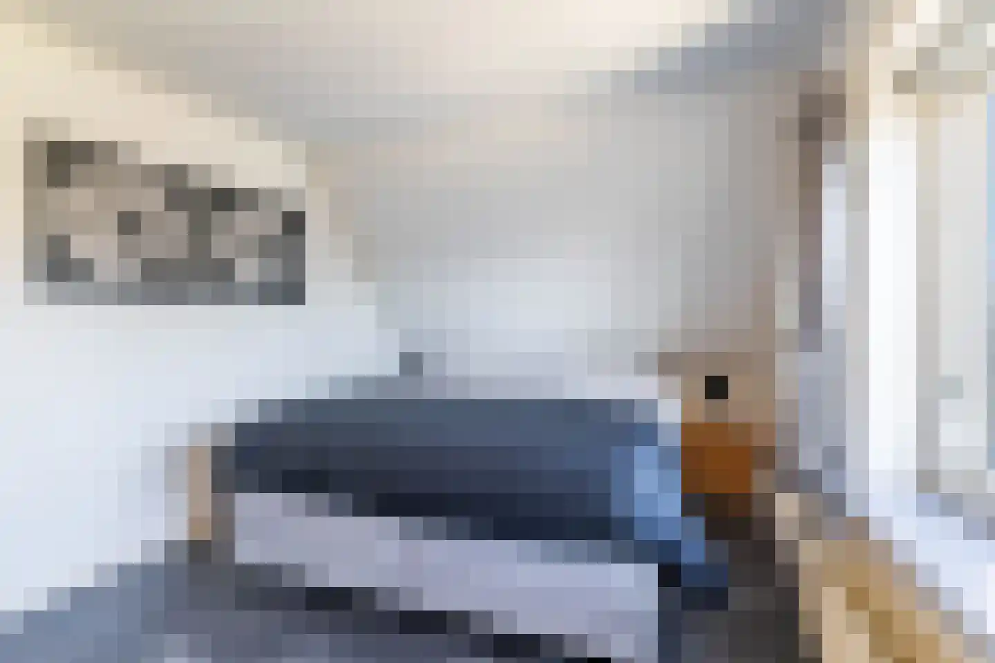 Hoornweg 21 Marum thumbnail 31